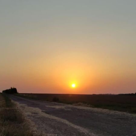 Au Calme En Ville, A 2Km De La Mer Saint-Pol-de-Léon Extérieur photo