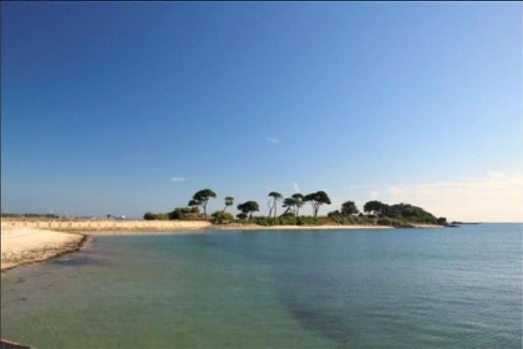 Au Calme En Ville, A 2Km De La Mer Saint-Pol-de-Léon Extérieur photo