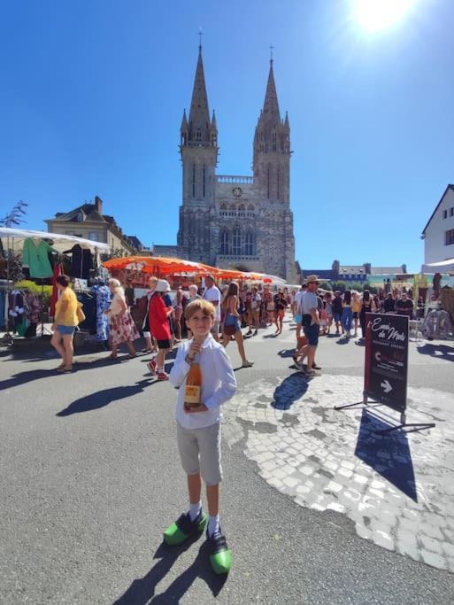 Au Calme En Ville, A 2Km De La Mer Saint-Pol-de-Léon Extérieur photo