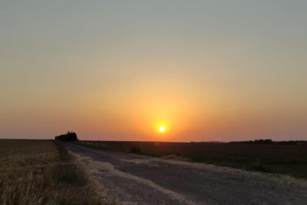 Au Calme En Ville, A 2Km De La Mer Saint-Pol-de-Léon Extérieur photo