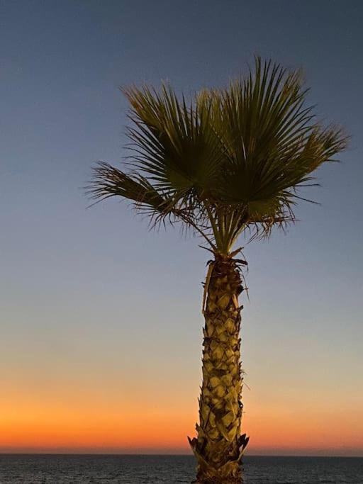 Au Calme En Ville, A 2Km De La Mer Saint-Pol-de-Léon Extérieur photo